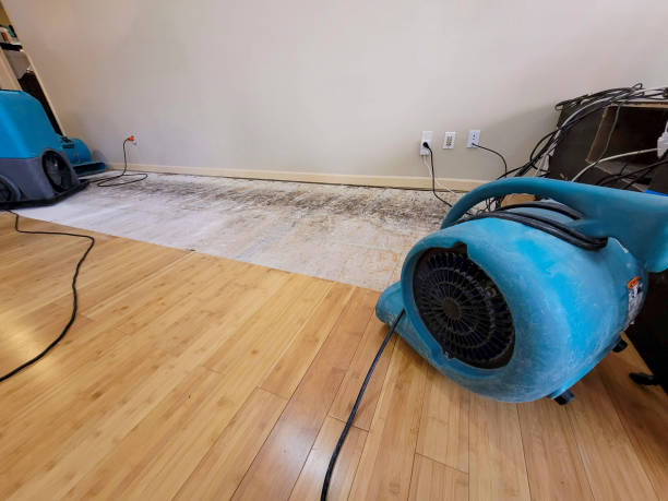 Professional Water Removal technician working in California Hot Springs, CA